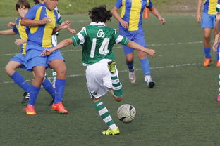 开云体育在线登入-中国足球外援依赖度趋势分析，中国足球外援依赖度趋势分析图